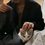 辰软繁蓑
